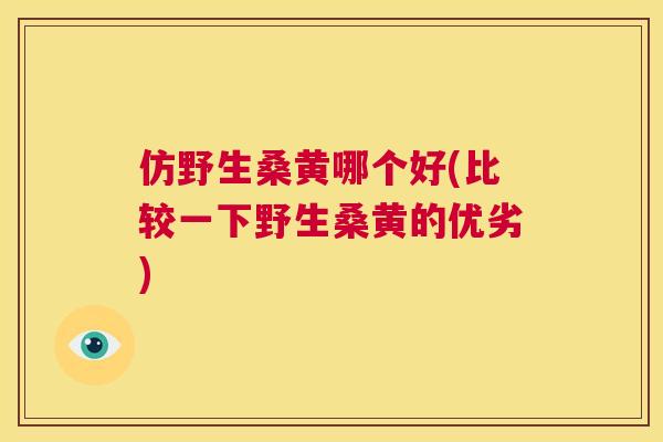 仿野生桑黄哪个好(比较一下野生桑黄的优劣) 仿野生桑黄哪个好(比较一下野生桑黄的优劣)