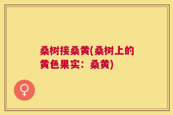桑树接桑黄(桑树上的黄色果实:桑黄) 桑树接桑黄(桑树上的黄色果实:桑黄)
