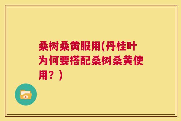 桑树桑黄服用(丹桂叶为何要搭配桑树桑黄使用?) 桑树桑黄服用(丹桂叶为何要搭配桑树桑黄使用?)