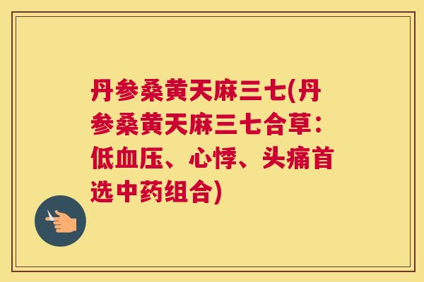 丹参桑黄天麻三七(丹参桑黄天麻三七合草：低、心悸、头痛首选组合)