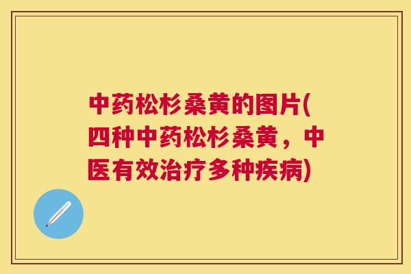 松杉桑黄的图片(四种松杉桑黄,中医有效多种) 松杉桑黄的图片(四种松杉桑黄,中医有效多种)