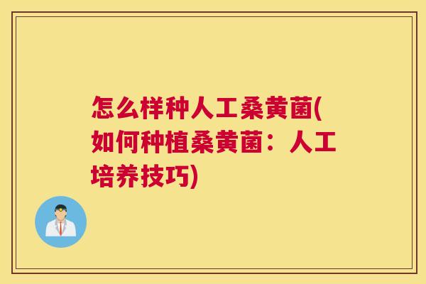 怎么样种人工桑黄菌(如何种植桑黄菌:人工培养技巧) 怎么样种人工桑黄菌(如何种植桑黄菌:人工培养技巧)