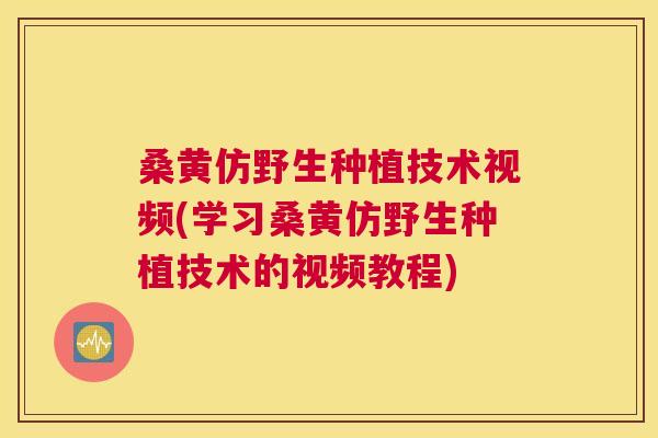 桑黄仿野生种植技术视频(学习桑黄仿野生种植技术的视频教程)