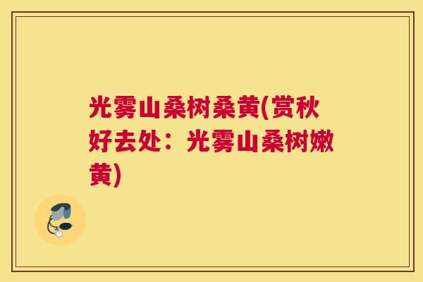 光雾山桑树桑黄(赏秋好去处:光雾山桑树嫩黄) 光雾山桑树桑黄(赏秋好去处:光雾山桑树嫩黄)