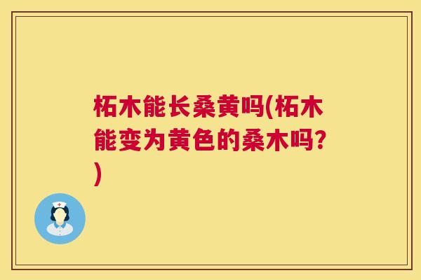 柘木能长桑黄吗(柘木能变为黄色的桑木吗?) 柘木能长桑黄吗(柘木能变为黄色的桑木吗?)