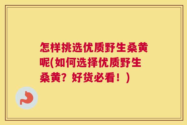 怎样挑选优质野生桑黄呢(如何选择优质野生桑黄?好货必看!) 怎样挑选优质野生桑黄呢(如何选择优质野生桑黄?好货必看!)