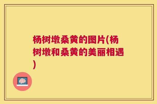 杨树墩桑黄的图片(杨树墩和桑黄的美丽相遇) 杨树墩桑黄的图片(杨树墩和桑黄的美丽相遇)