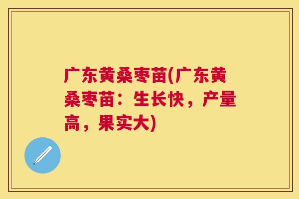 广东黄桑枣苗(广东黄桑枣苗:生长快,产量高,果实大) 广东黄桑枣苗(广东黄桑枣苗:生长快,产量高,果实大)