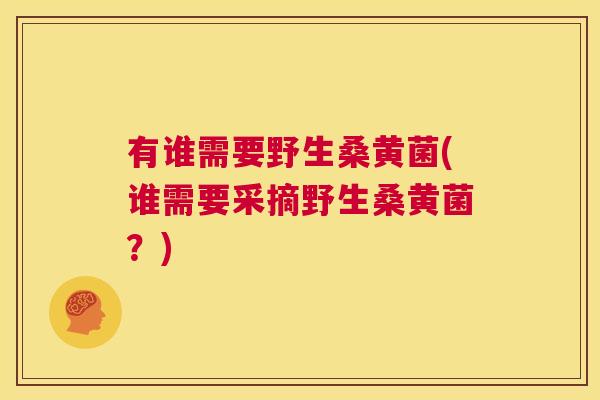 有谁需要野生桑黄菌(谁需要采摘野生桑黄菌?) 有谁需要野生桑黄菌(谁需要采摘野生桑黄菌?)