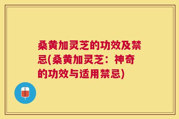桑黄加灵芝的功效及禁忌(桑黄加灵芝：神奇的功效与适用禁忌)
