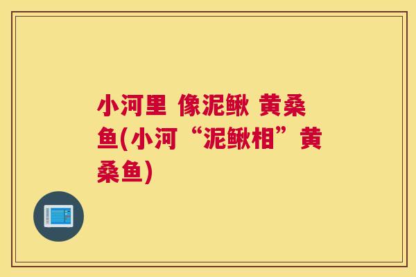 小河里 像泥鳅 黄桑鱼(小河“泥鳅相”黄桑鱼) 小河里 像泥鳅 黄桑鱼(小河“泥鳅相”黄桑鱼)