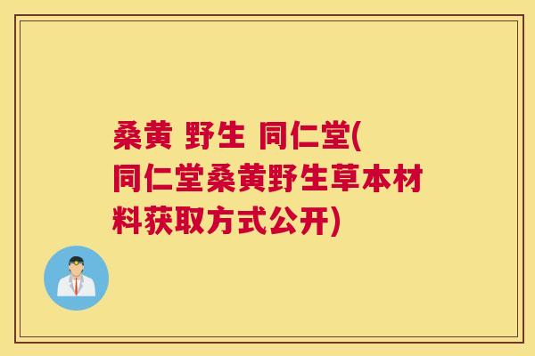 桑黄 野生 同仁堂(同仁堂桑黄野生草本材料获取方式公开) 桑黄 野生 同仁堂(同仁堂桑黄野生草本材料获取方式公开)