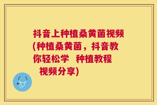 抖音上种植桑黄菌视频(种植桑黄菌,抖音教你轻松学 种植教程 视频分享) 抖音上种植桑黄菌视频(种植桑黄菌,抖音教你轻松学 种植教程 视频分享)