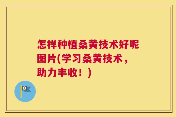怎样种植桑黄技术好呢图片(学习桑黄技术,助力丰收!) 怎样种植桑黄技术好呢图片(学习桑黄技术,助力丰收!)