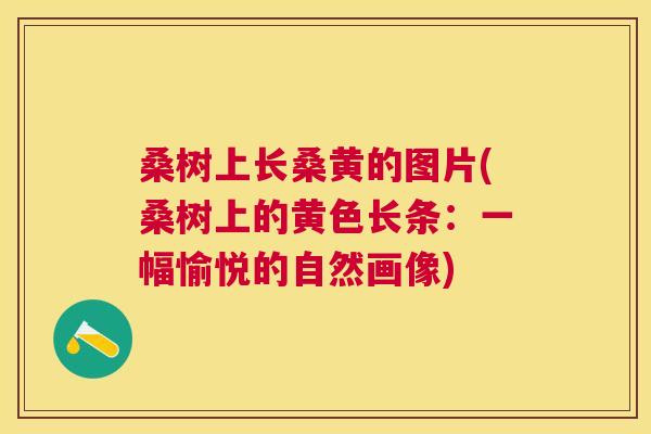 桑树上长桑黄的图片(桑树上的黄色长条:一幅愉悦的自然画像) 桑树上长桑黄的图片(桑树上的黄色长条:一幅愉悦的自然画像)