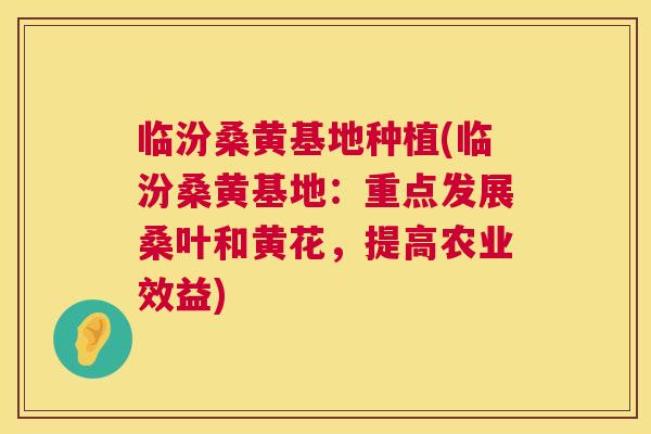 临汾桑黄基地种植(临汾桑黄基地:重点发展桑叶和黄花,提高农业效益) 临汾桑黄基地种植(临汾桑黄基地:重点发展桑叶和黄花,提高农业效益)