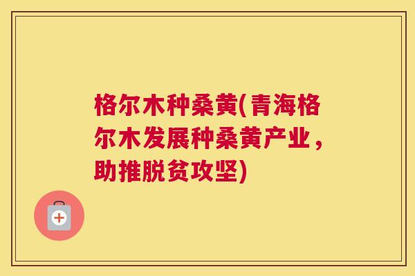 格尔木种桑黄(青海格尔木发展种桑黄产业,助推脱贫攻坚) 格尔木种桑黄(青海格尔木发展种桑黄产业,助推脱贫攻坚)