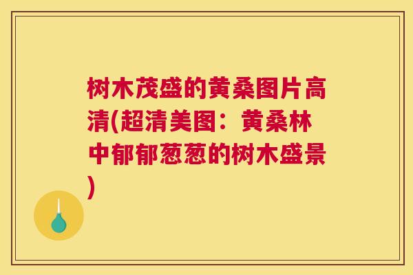 树木茂盛的黄桑图片高清(超清美图：黄桑林中郁郁葱葱的树木盛景)