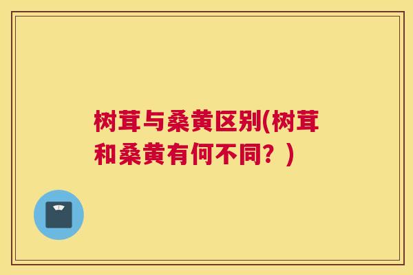 树茸与桑黄区别(树茸和桑黄有何不同?) 树茸与桑黄区别(树茸和桑黄有何不同?)