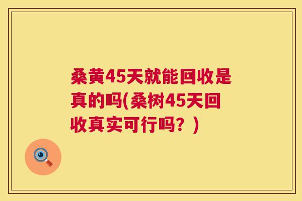 桑黄45天就能回收是真的吗(桑树45天回收真实可行吗?) 桑黄45天就能回收是真的吗(桑树45天回收真实可行吗?)