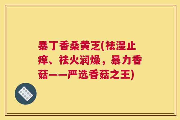 暴丁香桑黄芝(祛湿止痒、祛火润燥,暴力香菇——严选香菇之王) 暴丁香桑黄芝(祛湿止痒、祛火润燥,暴力香菇——严选香菇之王)