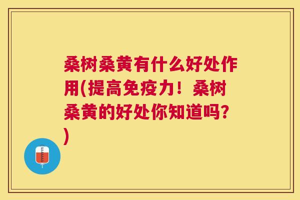 桑树桑黄有什么好处作用(提高力!桑树桑黄的好处你知道吗?) 桑树桑黄有什么好处作用(提高力!桑树桑黄的好处你知道吗?)