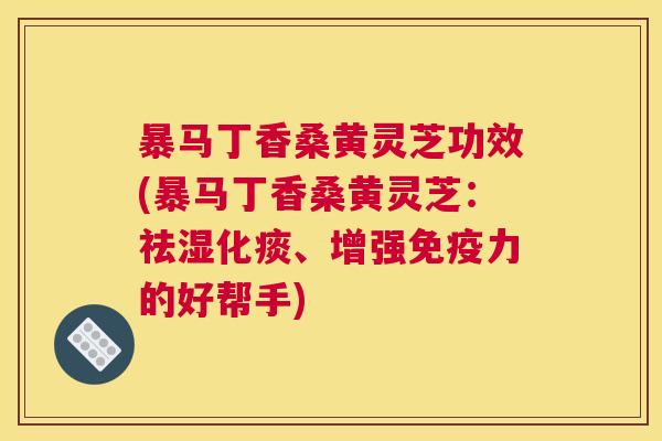 暴马丁香桑黄灵芝功效(暴马丁香桑黄灵芝:祛湿化痰、增强力的好帮手) 暴马丁香桑黄灵芝功效(暴马丁香桑黄灵芝:祛湿化痰、增强力的好帮手)