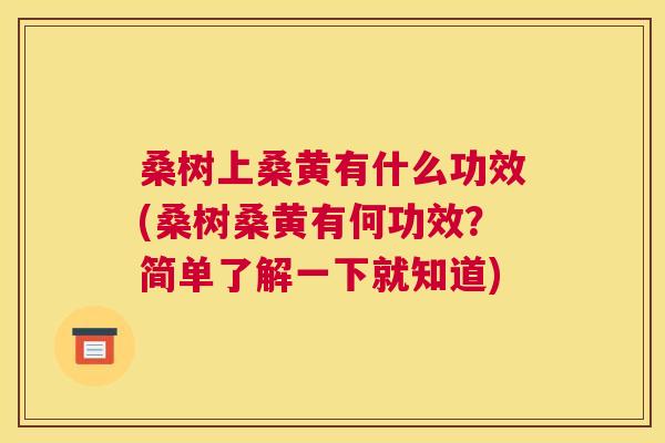桑树上桑黄有什么功效(桑树桑黄有何功效?简单了解一下就知道) 桑树上桑黄有什么功效(桑树桑黄有何功效?简单了解一下就知道)