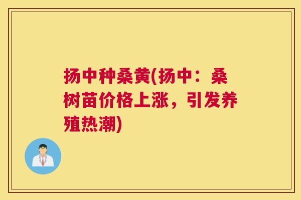 扬中种桑黄(扬中：桑树苗价格上涨，引发养殖热潮)