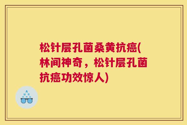 松针层孔菌桑黄抗(林间神奇,松针层孔菌抗功效惊人) 松针层孔菌桑黄抗(林间神奇,松针层孔菌抗功效惊人)