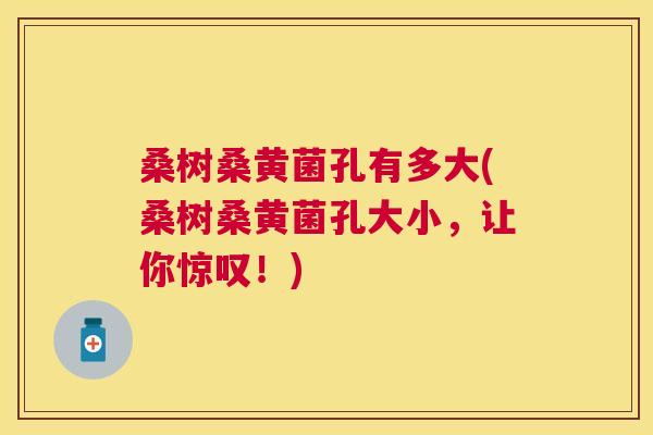 桑树桑黄菌孔有多大(桑树桑黄菌孔大小,让你惊叹!) 桑树桑黄菌孔有多大(桑树桑黄菌孔大小,让你惊叹!)