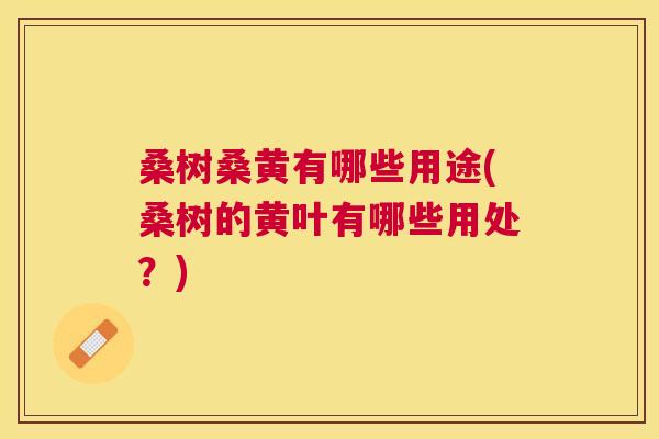 桑树桑黄有哪些用途(桑树的黄叶有哪些用处？)
