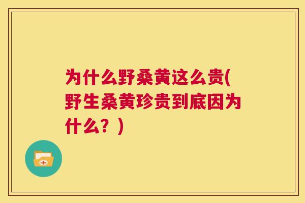 为什么野桑黄这么贵(野生桑黄珍贵到底因为什么?) 为什么野桑黄这么贵(野生桑黄珍贵到底因为什么?)