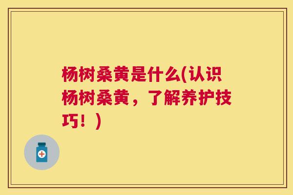杨树桑黄是什么(认识杨树桑黄,了解养护技巧!) 杨树桑黄是什么(认识杨树桑黄,了解养护技巧!)