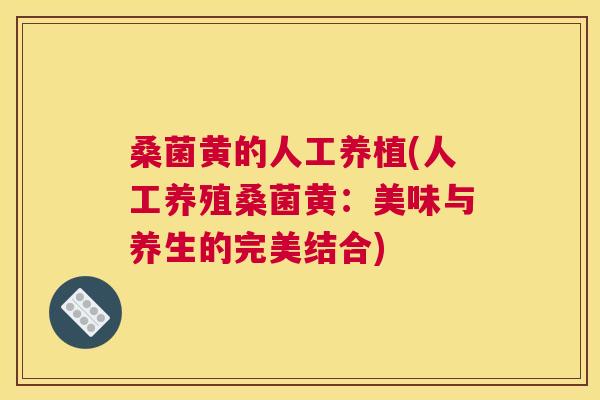 桑菌黄的人工养植(人工养殖桑菌黄:美味与养生的完美结合) 桑菌黄的人工养植(人工养殖桑菌黄:美味与养生的完美结合)