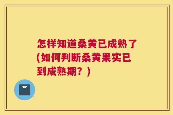 怎样知道桑黄已成熟了(如何判断桑黄果实已到成熟期?) 怎样知道桑黄已成熟了(如何判断桑黄果实已到成熟期?)