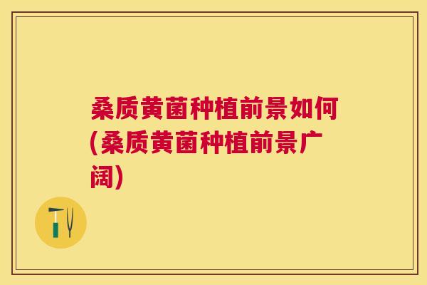 桑质黄菌种植前景如何(桑质黄菌种植前景广阔)