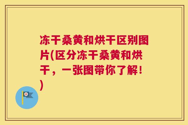 冻干桑黄和烘干区别图片(区分冻干桑黄和烘干,一张图带你了解!) 冻干桑黄和烘干区别图片(区分冻干桑黄和烘干,一张图带你了解!)