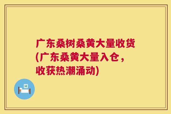 广东桑树桑黄大量收货(广东桑黄大量入仓,收获热潮涌动) 广东桑树桑黄大量收货(广东桑黄大量入仓,收获热潮涌动)