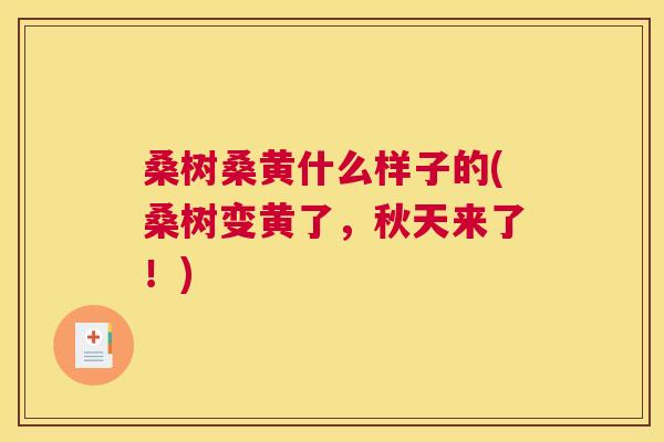 桑树桑黄什么样子的(桑树变黄了,秋天来了!) 桑树桑黄什么样子的(桑树变黄了,秋天来了!)