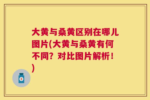 大黄与桑黄区别在哪儿图片(大黄与桑黄有何不同?对比图片解析!) 大黄与桑黄区别在哪儿图片(大黄与桑黄有何不同?对比图片解析!)