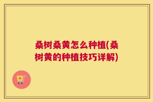 桑树桑黄怎么种植(桑树黄的种植技巧详解)