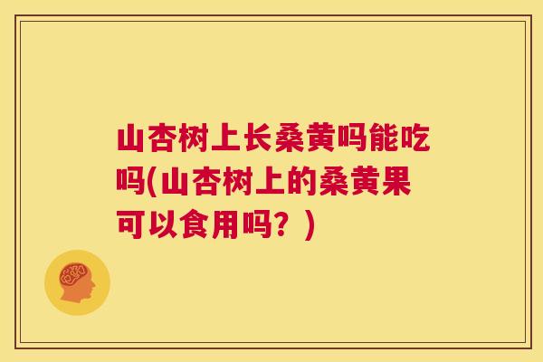 山杏树上长桑黄吗能吃吗(山杏树上的桑黄果可以食用吗?) 山杏树上长桑黄吗能吃吗(山杏树上的桑黄果可以食用吗?)