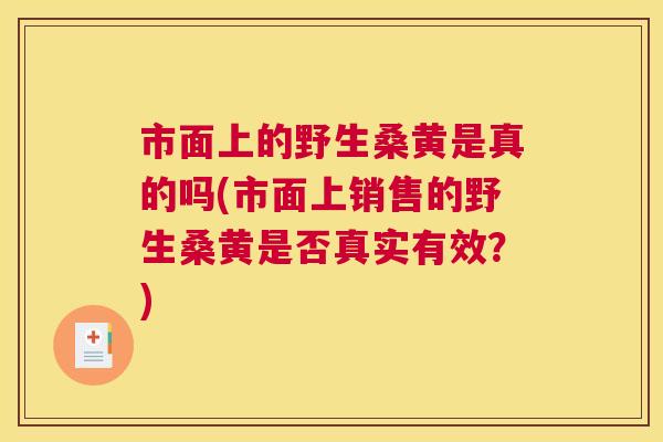 市面上的野生桑黄是真的吗(市面上销售的野生桑黄是否真实有效?) 市面上的野生桑黄是真的吗(市面上销售的野生桑黄是否真实有效?)