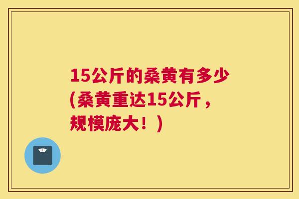 15公斤的桑黄有多少(桑黄重达15公斤,规模庞大!) 15公斤的桑黄有多少(桑黄重达15公斤,规模庞大!)