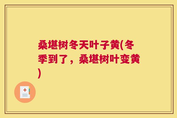 桑堪树冬天叶子黄(冬季到了,桑堪树叶变黄) 桑堪树冬天叶子黄(冬季到了,桑堪树叶变黄)
