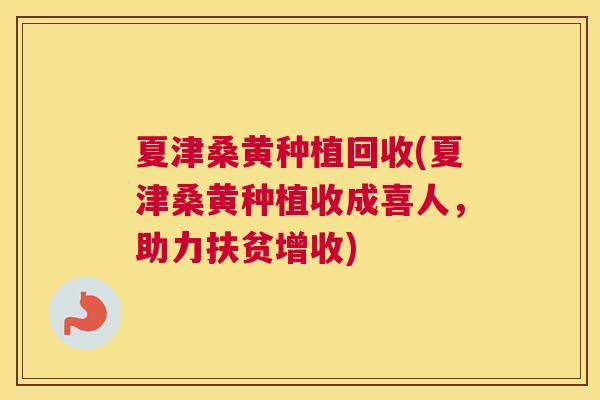 夏津桑黄种植回收(夏津桑黄种植收成喜人,助力扶贫增收) 夏津桑黄种植回收(夏津桑黄种植收成喜人,助力扶贫增收)