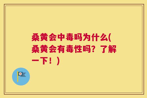 桑黄会中毒吗为什么(桑黄会有毒性吗?了解一下!) 桑黄会中毒吗为什么(桑黄会有毒性吗?了解一下!)