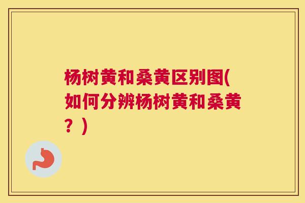 杨树黄和桑黄区别图(如何分辨杨树黄和桑黄?) 杨树黄和桑黄区别图(如何分辨杨树黄和桑黄?)