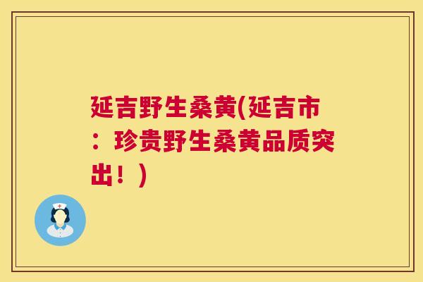 延吉野生桑黄(延吉市:珍贵野生桑黄品质突出!) 延吉野生桑黄(延吉市:珍贵野生桑黄品质突出!)